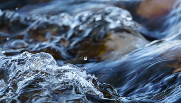 Escursione alla diga di Salvajina - Foto 5
