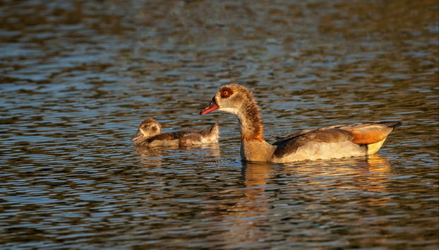 Escursione alla diga di Salvajina - Foto 3