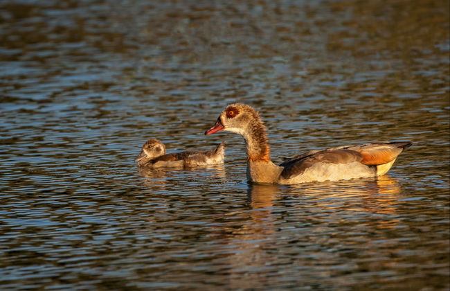 Salvajina Reservoir Tour - Photo 3