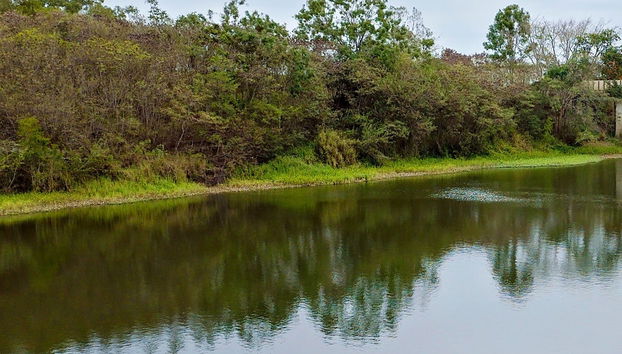 Escursione alla diga di Salvajina - Foto 4