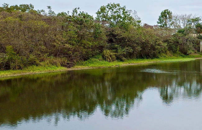 Salvajina Reservoir Tour - Photo 4