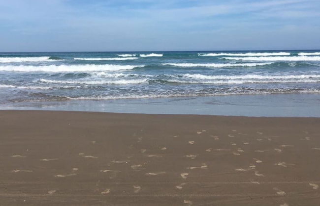 Tour por Tampico y playa Miramar - Foto 2