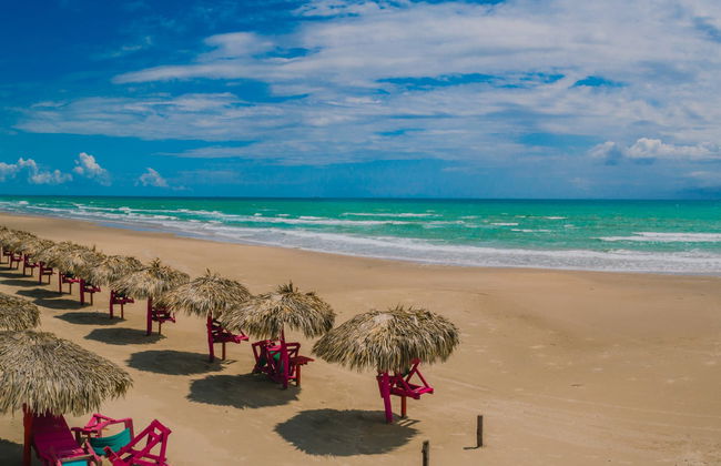 Tour por Tampico y playa Miramar - Foto 1