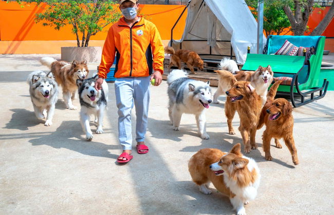 Da Lat & Langbiang Mountain Tour - Foto 6