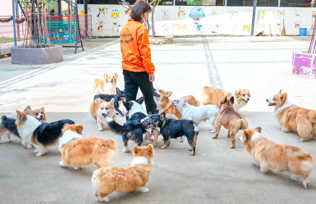 Da Lat & Langbiang Mountain Tour - Foto 1