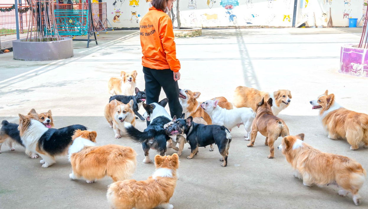 Da Lat & Langbiang Mountain Tour - Foto 1