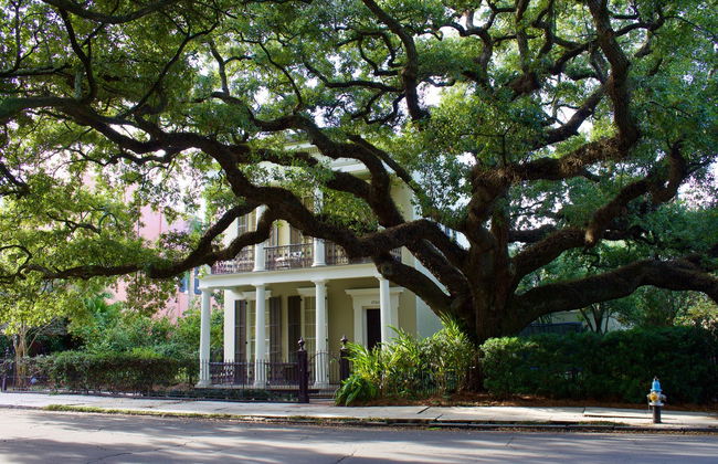 Tour por Nueva Orleans - Foto 2