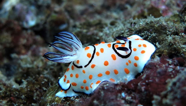 Krabi Islands & Railay Beach Day Trip - Photo 4