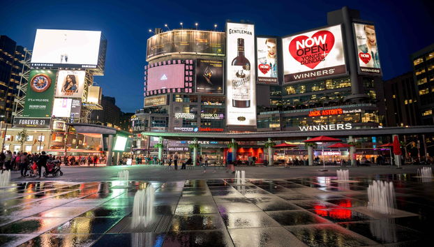 Toronto Private Walking Tour - Foto 4