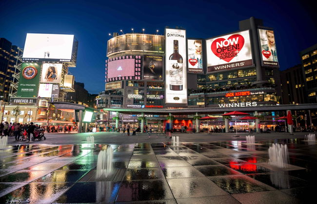 Tour privado por Toronto - Foto 4