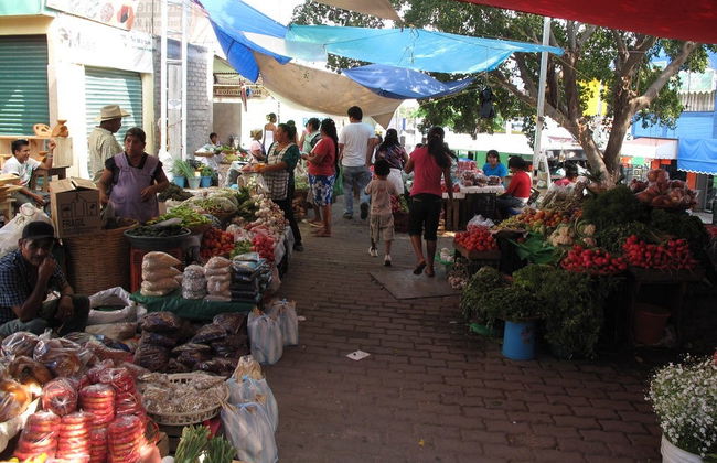 Tour de compras por Puerto Escondido - Foto 5