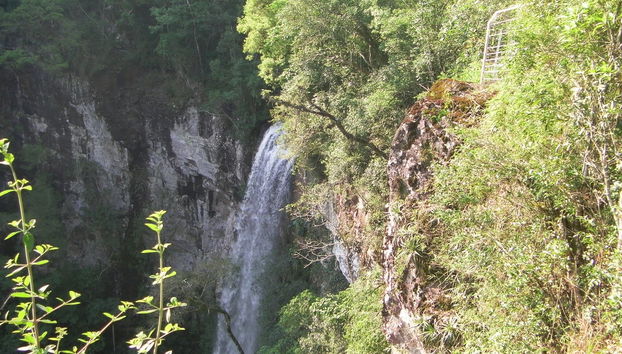 Excursión a Salto Encantado y Moconá - Foto 4