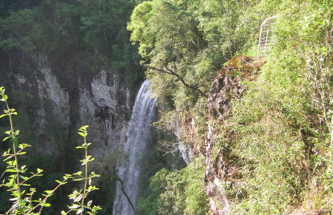 Excursión a Salto Encantado y Moconá - Foto 4