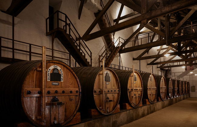 Quinta do Bomfim Winery Tour - Photo 5