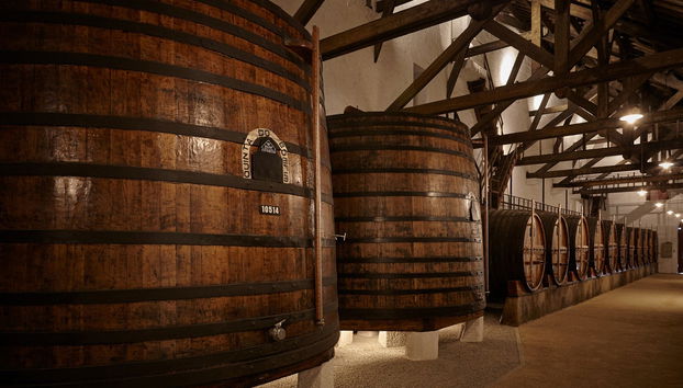 Quinta do Bomfim Winery Tour - Foto 2