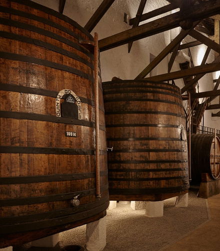 Foto de Visita a la bodega Quinta do Bomfim