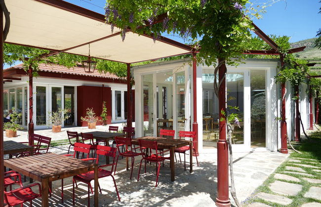 Quinta do Bomfim Winery Tour - Photo 7