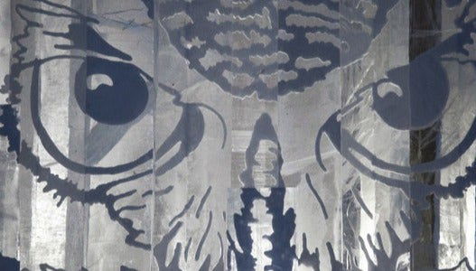 SnowVillage Excursion