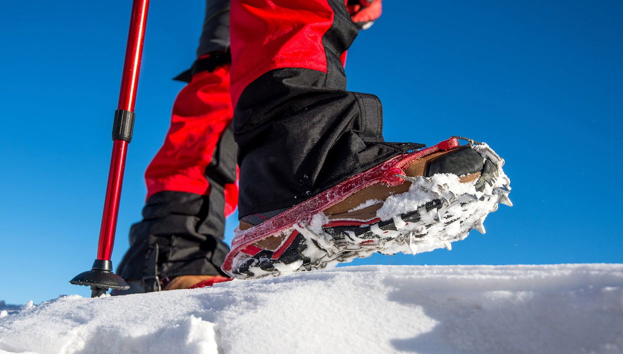 Snowshoeing Tour in the Valle de Lago - Foto 1