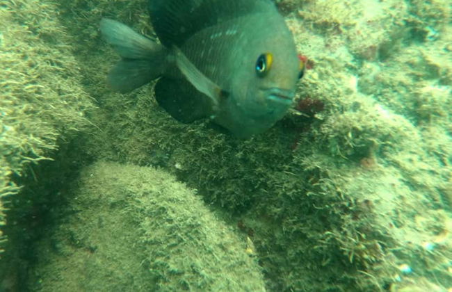 Day Trip to Bombinhas - Photo 5