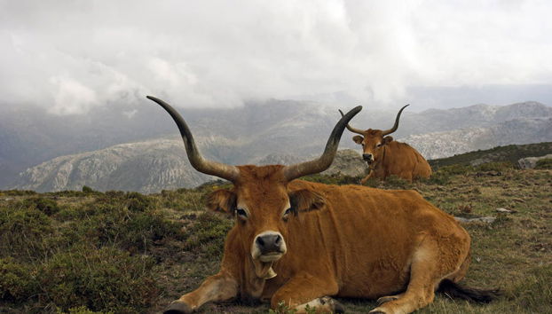 Peneda-Geres National Park Tour - Photo 3