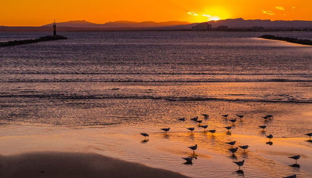 Balade en catamaran dans la baie de Rosas au coucher de soleil - Photo 4