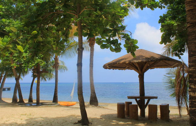 Gumbalimba Park Excursion - Foto 3