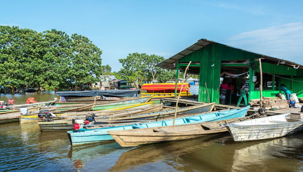 Tour privato di Leticia - Foto 3