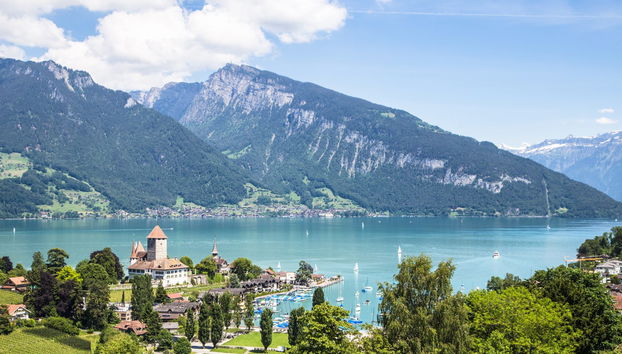 Balade en bateau sur les lacs Thoune et Brienz - Photo 5