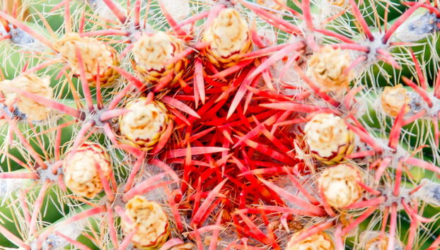 Trekking alla ruta de Melgarejo - Foto 2