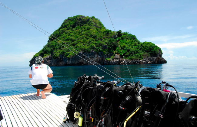 Buceo en Malapascua - Foto 5