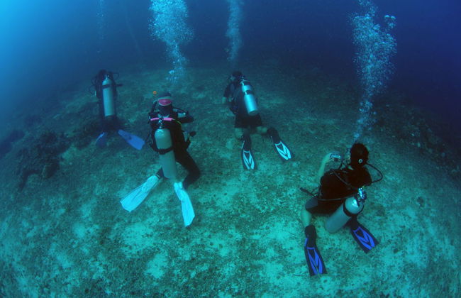 Buceo en Malapascua - Foto 3