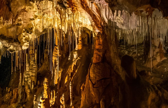 Excursión a las grutas de Coyame - Foto 5