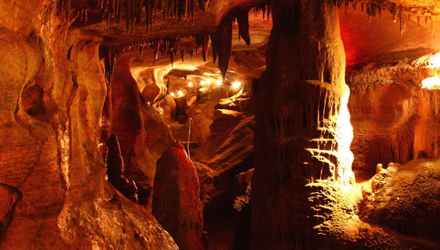 Excursion aux grottes de Coyame - Photo 3