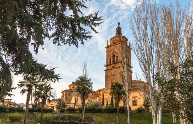 Entrada a la Catedral de Guadix de Granada - Foto 4