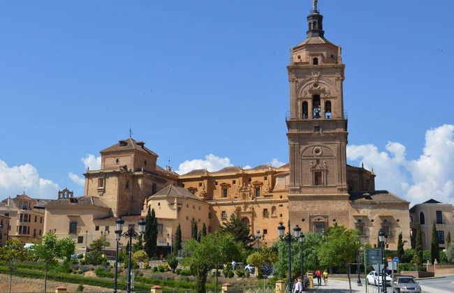 Entrada a la Catedral de Guadix de Granada - Foto 3