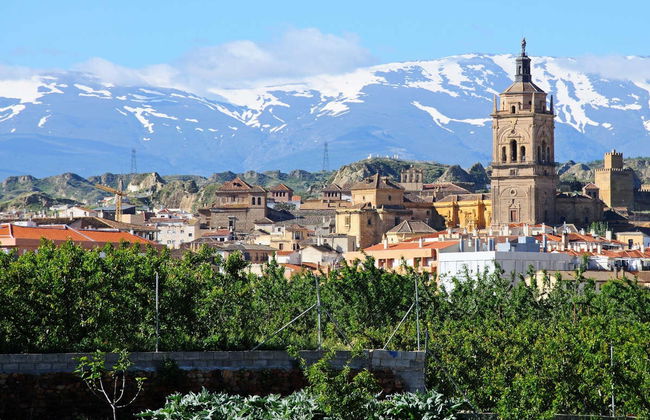 Entrada a la Catedral de Guadix de Granada - Foto 2