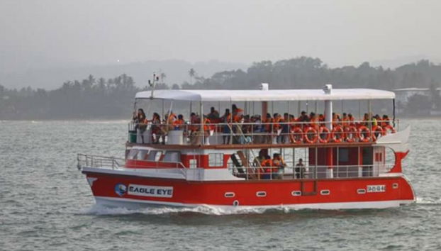 Whale Watching in Mirissa - Photo 5