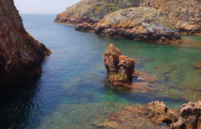 Escursione alle isole Berlengas e alle sue grotte - Foto 6