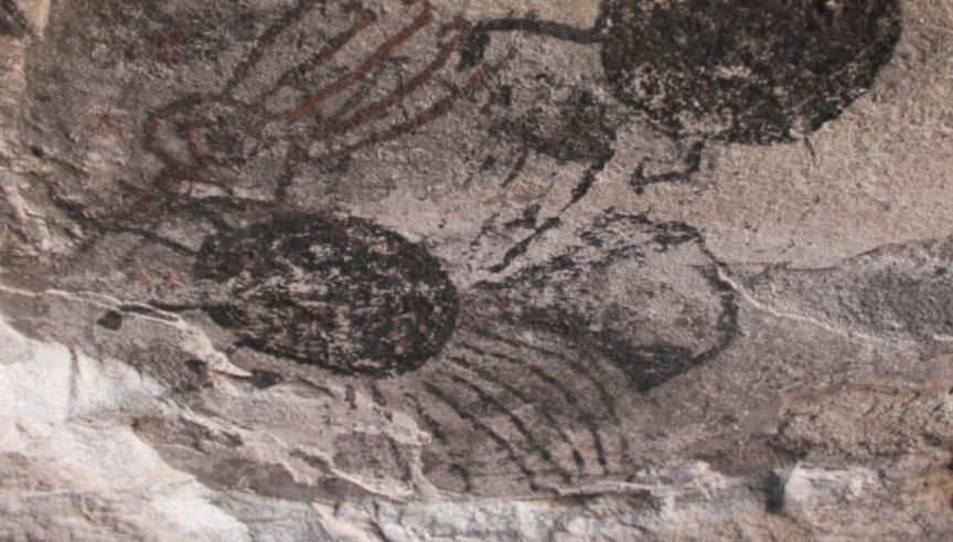 Los Morillos Reserve Private Trip