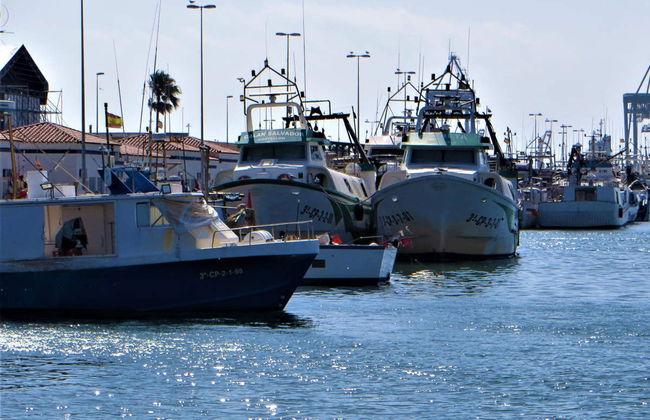 Tour pelo Grau de Castelló - Foto 3