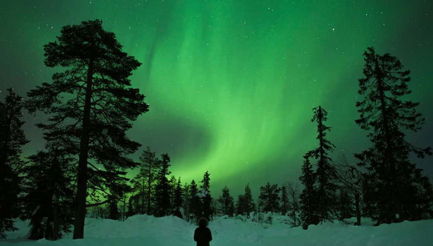 Northern Lights Tour - Photo 5