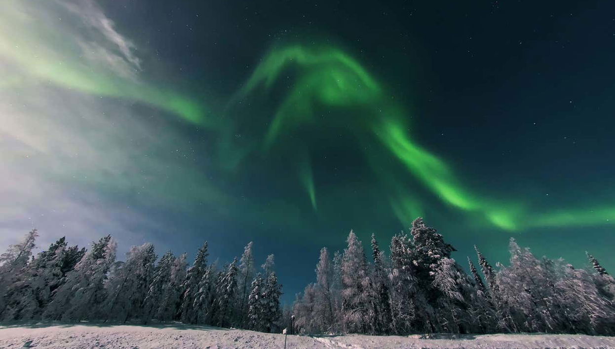 Northern Lights Tour - Photo 1