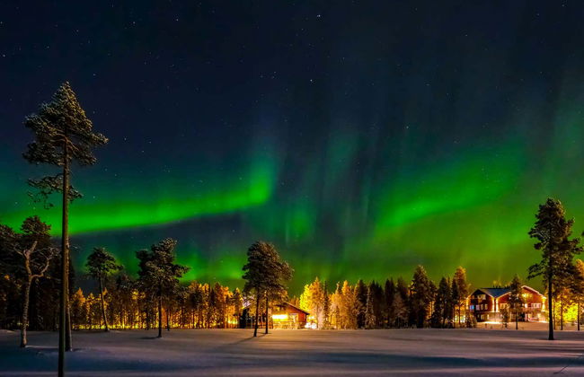 Northern Lights Tour - Photo 4