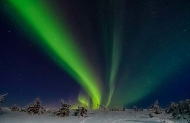 Northern Lights Tour - Photo 2