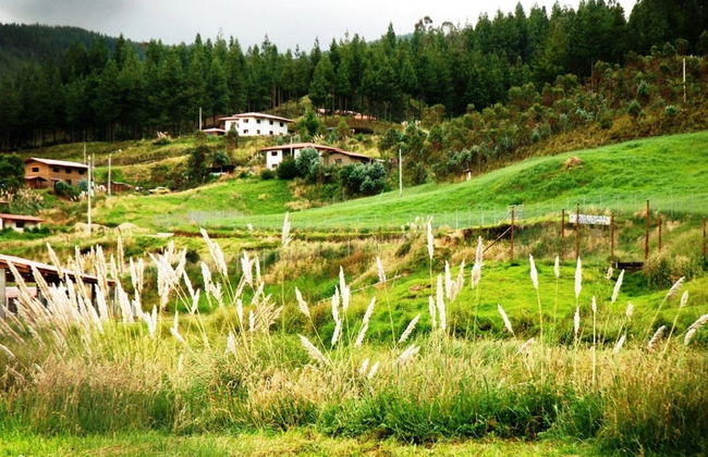Excursão à Granja Porcón e Huambocancha - Foto 1