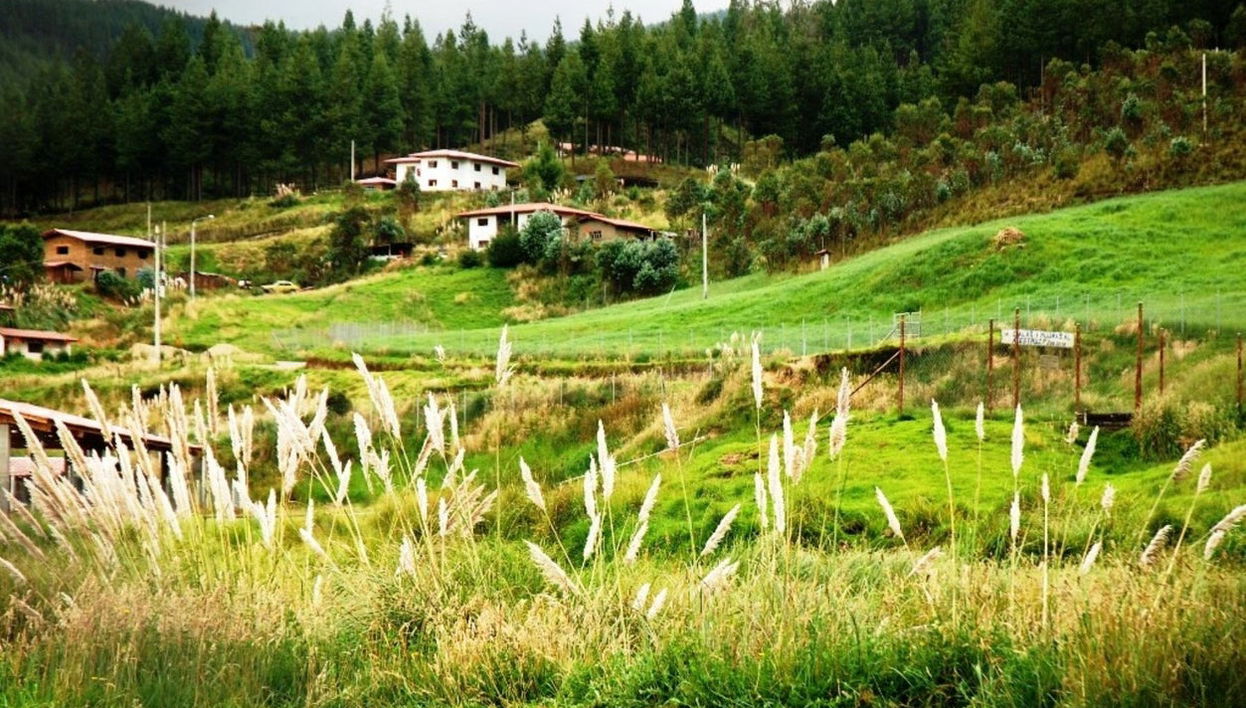 Excursão à Granja Porcón e Huambocancha - Foto 1