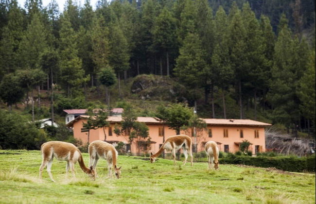 Excursão à Granja Porcón e Huambocancha - Foto 6