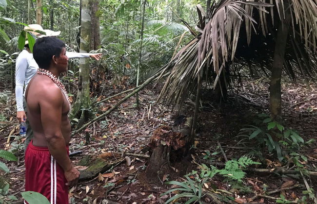 Tour de 2 días por la selva amazónica - Foto 5