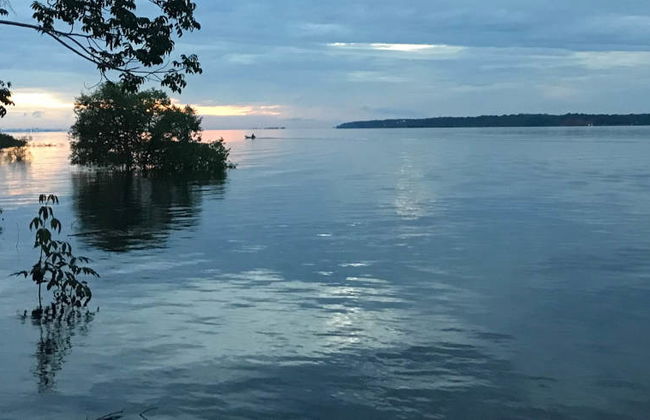 Tour de 2 días por la selva amazónica - Foto 8